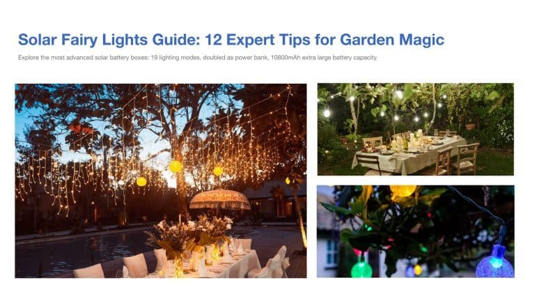 Garden pathway beautifully lit with warm white solar fairy lights, demonstrating professional installation along borders and trees